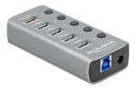 DELOCK USB hub 63262 με διακόπτες, 5x θυρών, 5Gbps, 2.4A, γκρι - Image 2