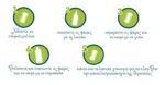 REAL CARE Easylice ΚΙΤ για τις Ψείρες : Λοσιόν 125ml Σαμπουάν 125ml και Χτένα για Κόνιδες - Image 3